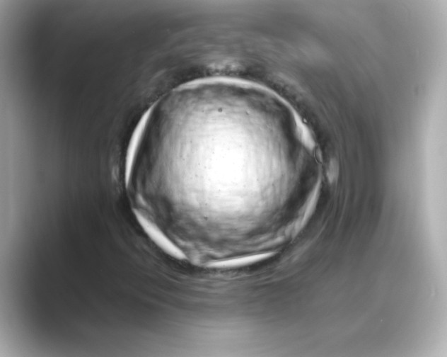 X0000088671396200706211842