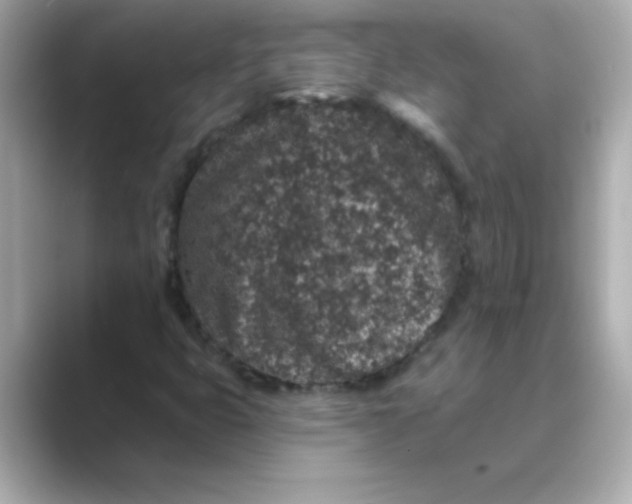 X0000088671399200706211842