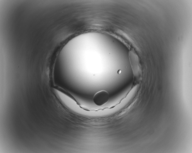 X0000088671402200706211842