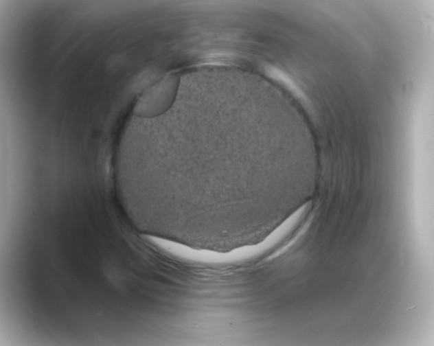 X0000088671403200706211842
