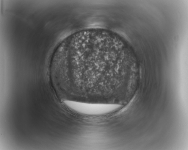 X0000088671405200706211842