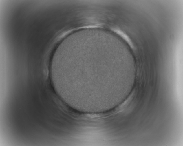 X0000088671407200706211842