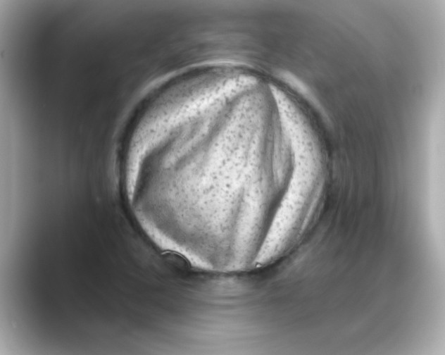 X0000088671408200706211843