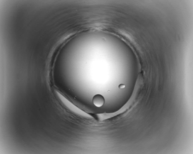 X0000088671410200706211843