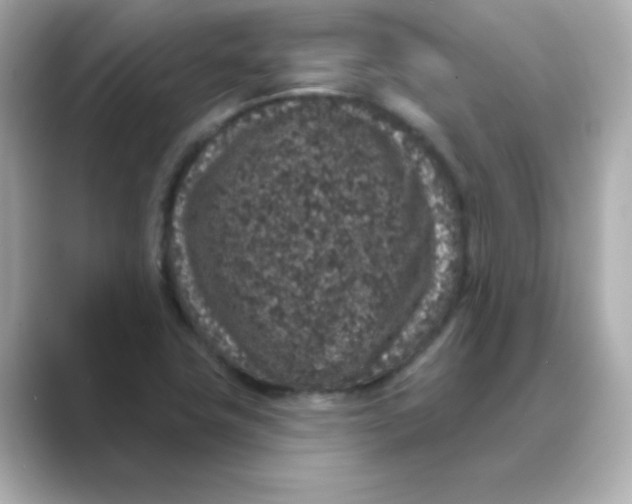 X0000088671411200706211843