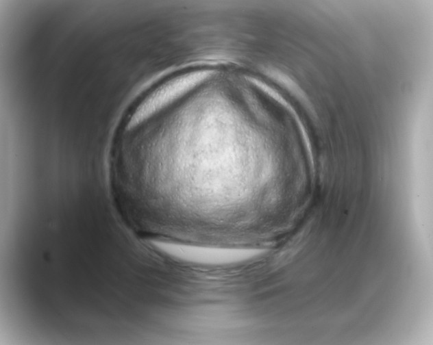 X0000088671412200706211843
