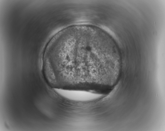 X0000088671413200706211843