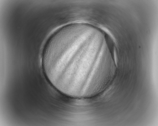 X0000088671416200706211843