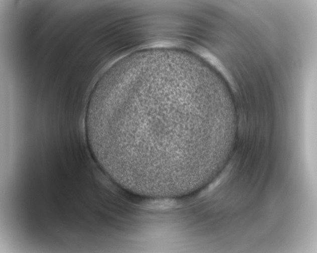 X0000088671417200706211843