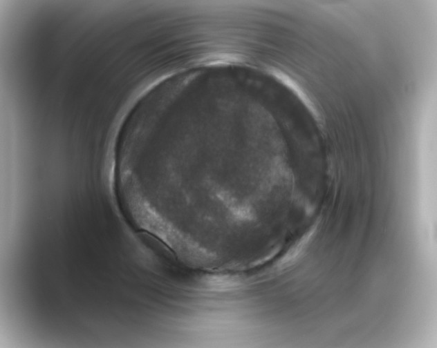 X0000088671418200706211843