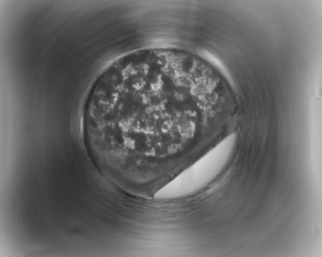 X0000088671419200706211843
