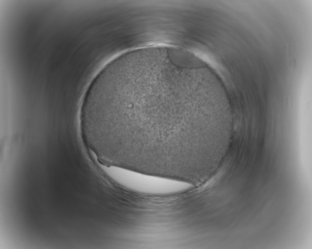 X0000088671423200706211843