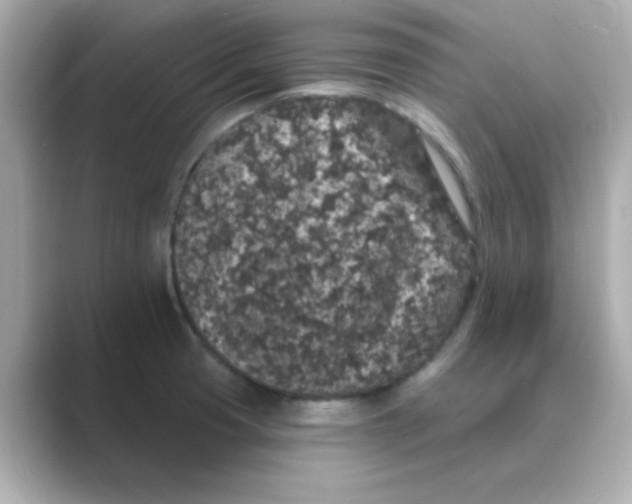 X0000088671425200706211843