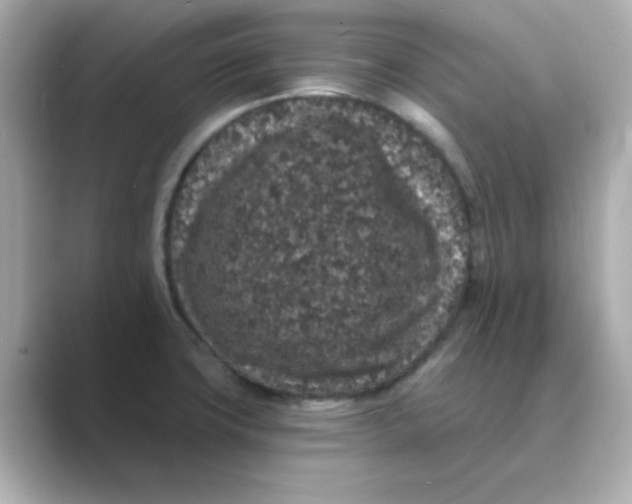 X0000088671427200706211843