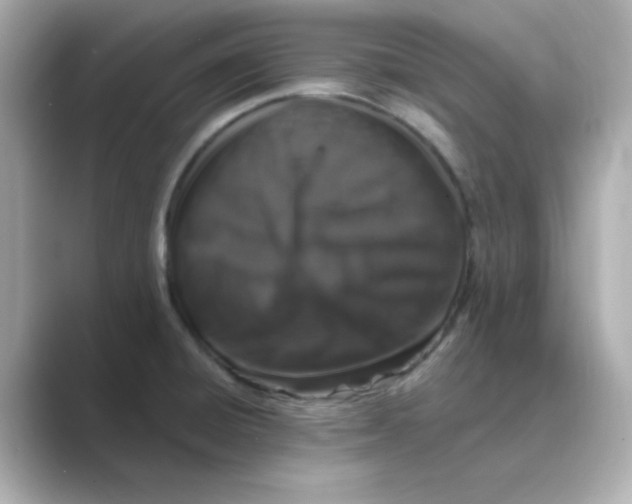 X0000088671428200706211843