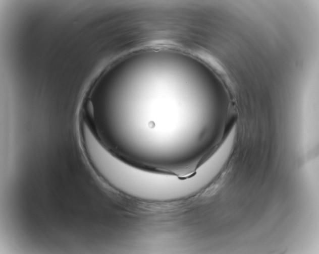 X0000088671430200706211843