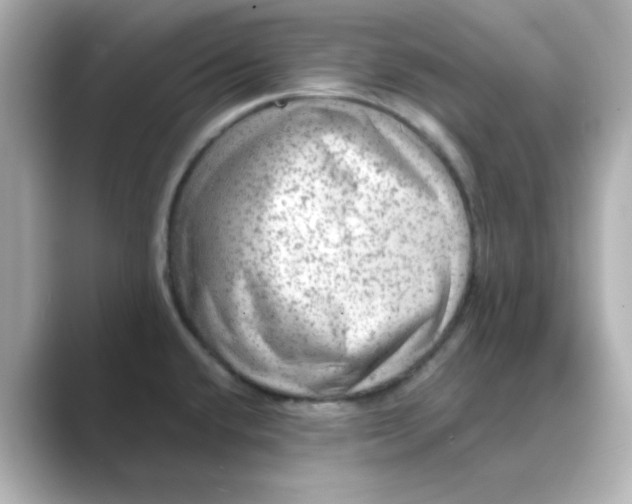X0000088671432200706211843