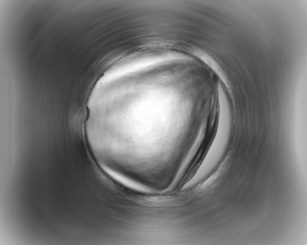 X0000088671433200706211843