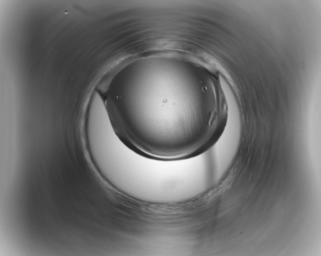 X0000088671434200706211843
