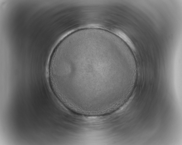 X0000088671436200706211843