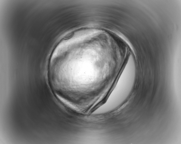 X0000088671437200706211843
