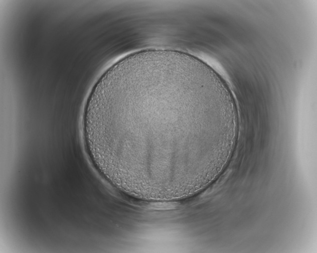 X0000088671440200706211843