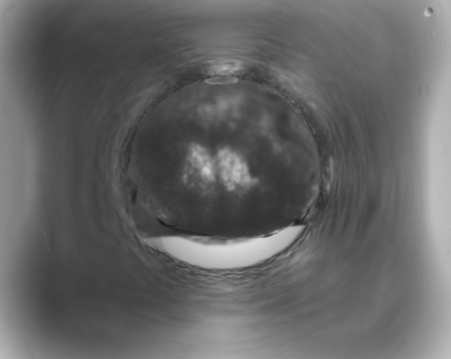 X0000088671441200706211842