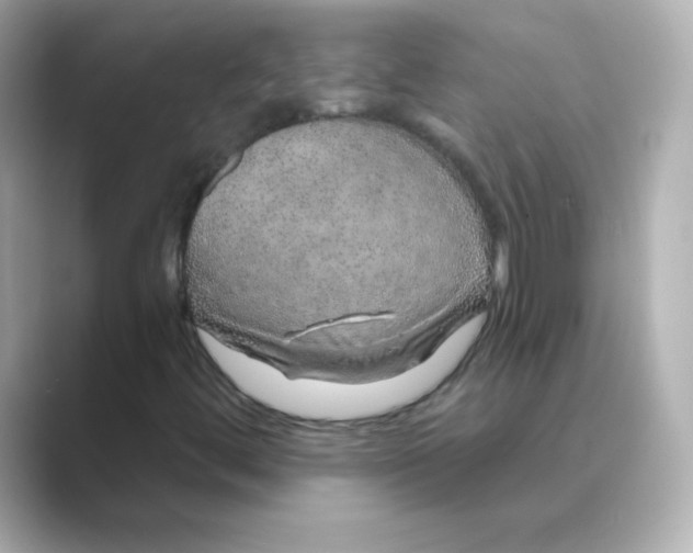 X0000088671444200706211842