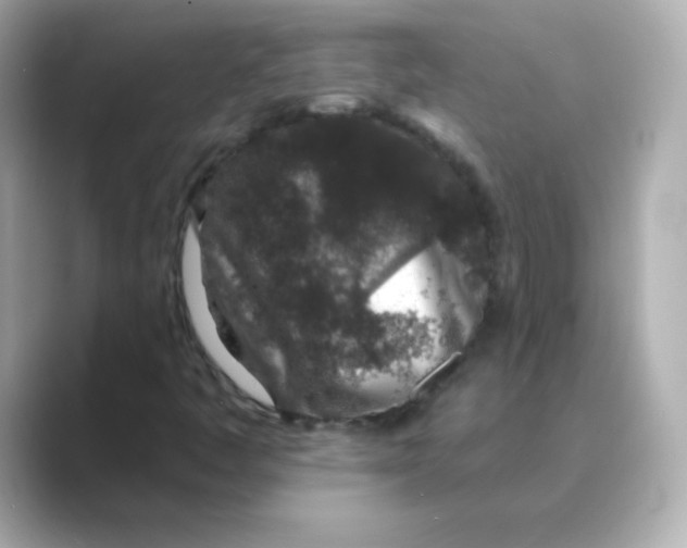 X0000088671445200706211842