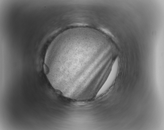 X0000088671448200706211842