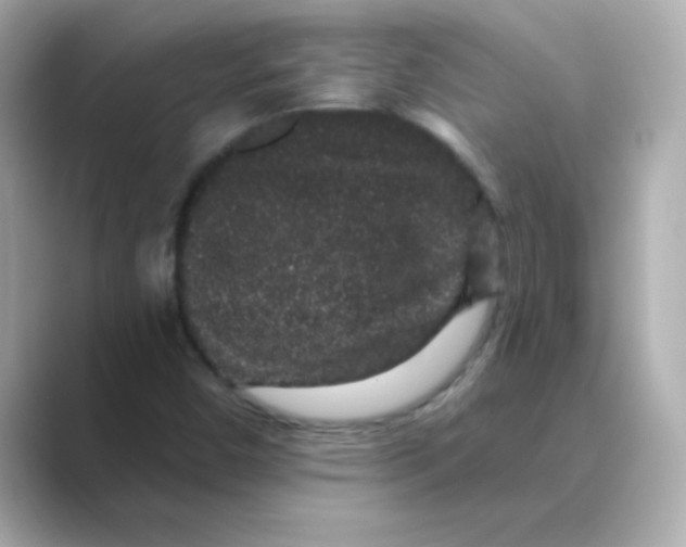 X0000088671450200706211842
