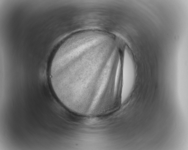 X0000088671452200706211842