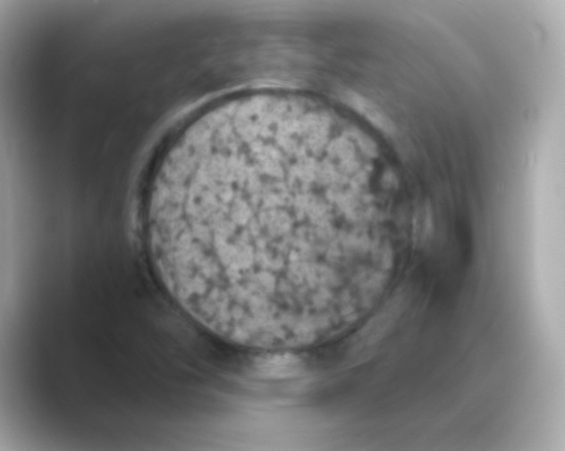 X0000088671454200706211842
