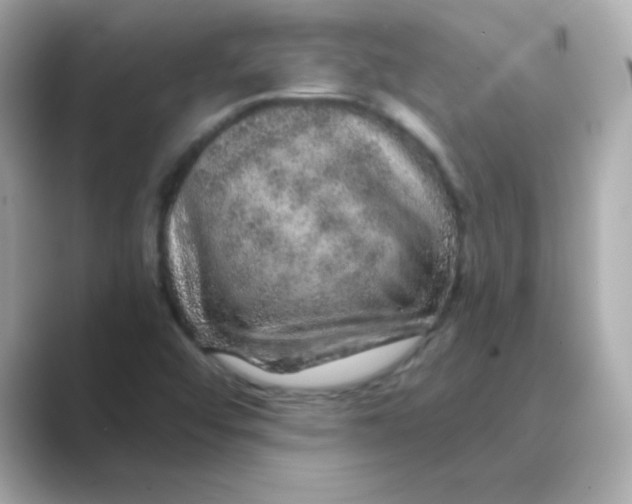 X0000088671456200706211842