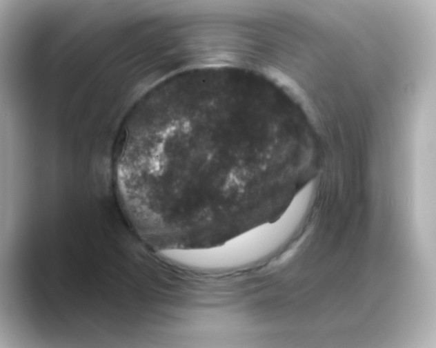 X0000088671457200706211842
