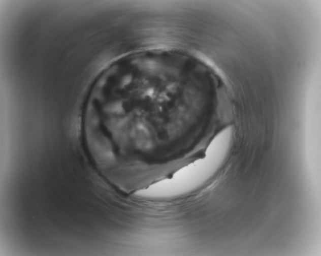 X0000088671459200706211842
