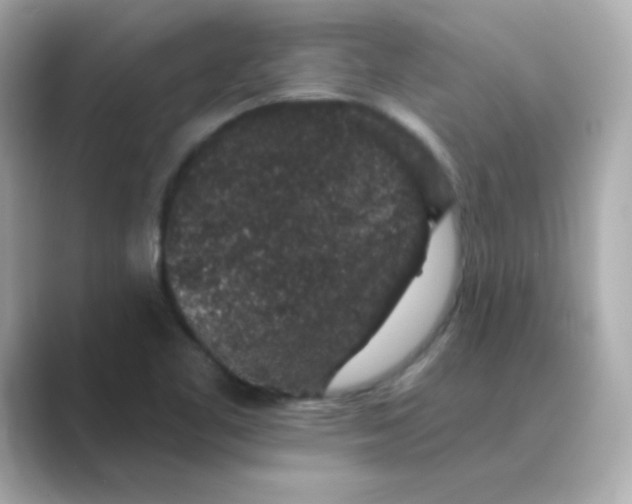 X0000088671461200706211842