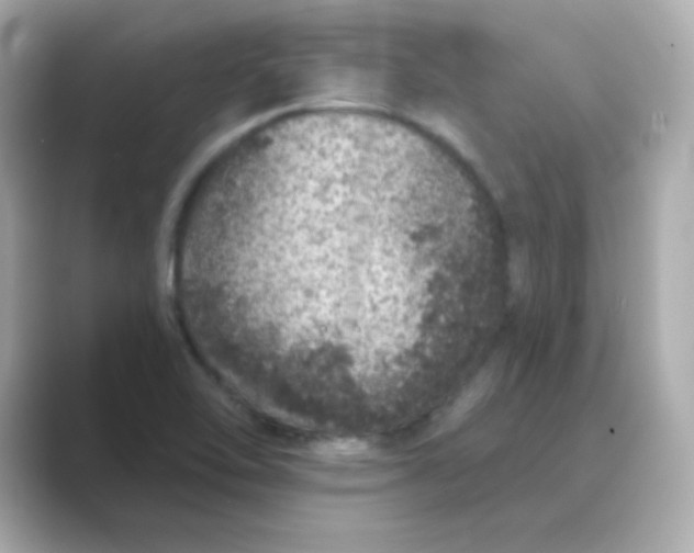 X0000088671462200706211842