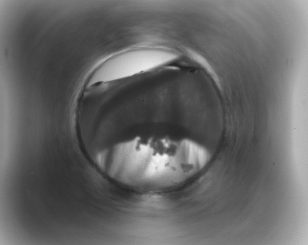 X0000088671463200706211842