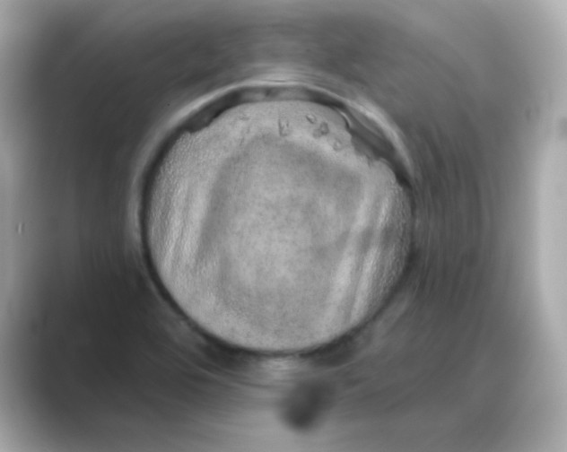 X0000088671464200706211842