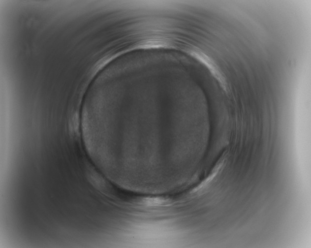 X0000088671465200706211842