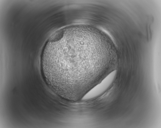 X0000088671467200706211842