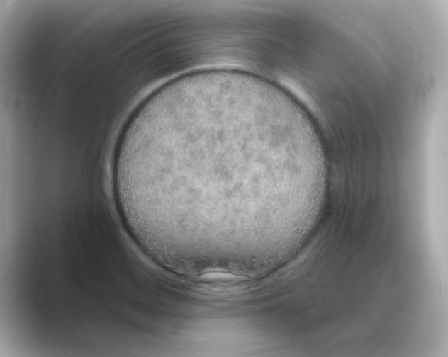 X0000088671468200706211842