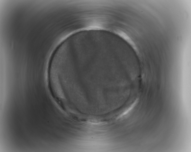 X0000088671469200706211842