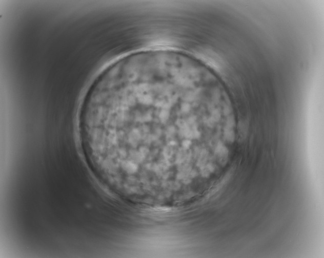 X0000088671470200706211842