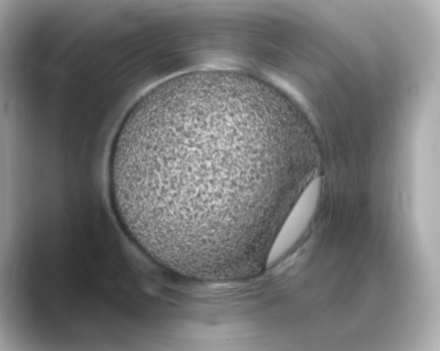 X0000088671471200706211842