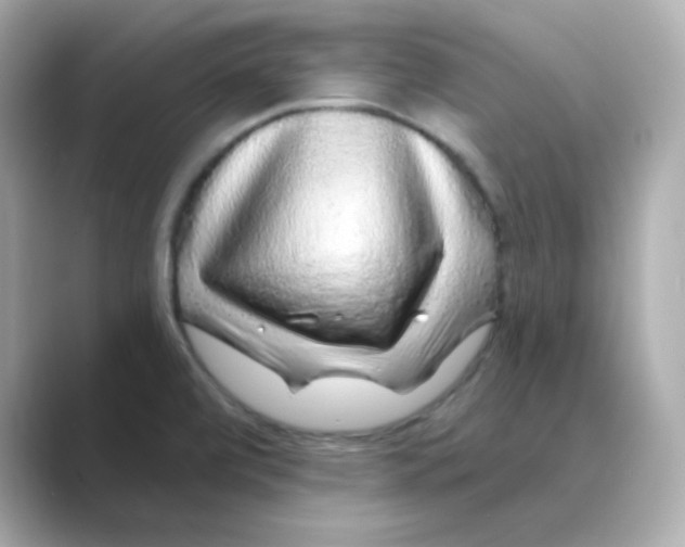 X0000088671472200706211842