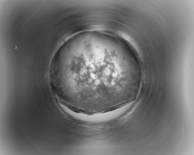 X0000088671473200706211842