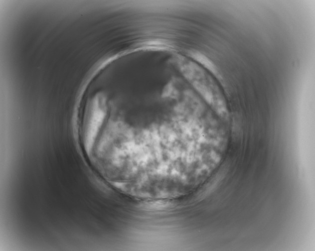 X0000088671474200706211842
