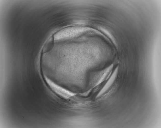 X0000088671475200706211842